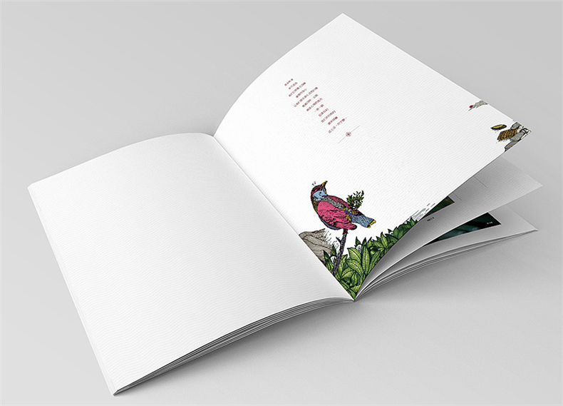 設計地產(chǎn)樓書(shū)一般多少錢(qián)1p-樓書(shū)設計價(jià)格是多少-地產(chǎn)畫(huà)冊收費標準