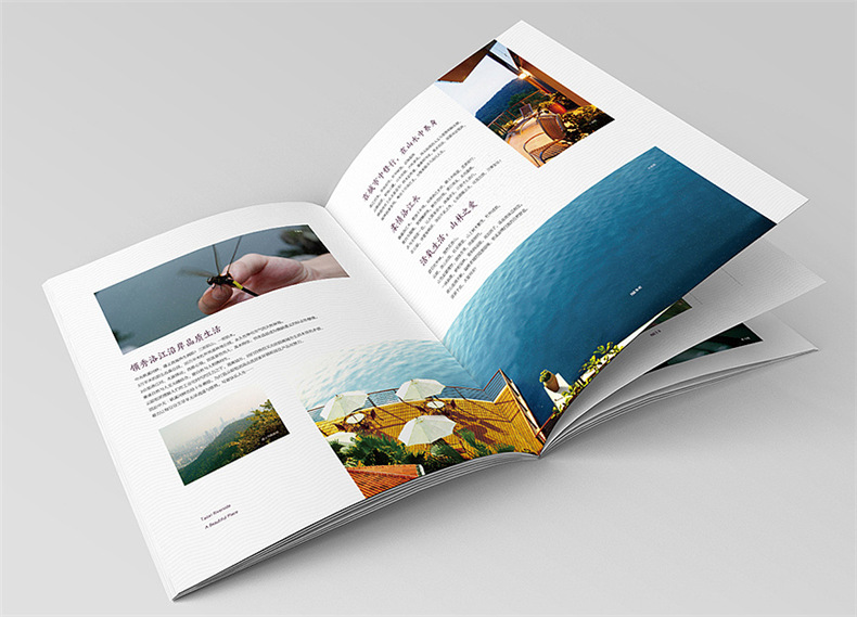 設計地產(chǎn)樓書(shū)一般多少錢(qián)1p-樓書(shū)設計價(jià)格是多少-地產(chǎn)畫(huà)冊收費標準