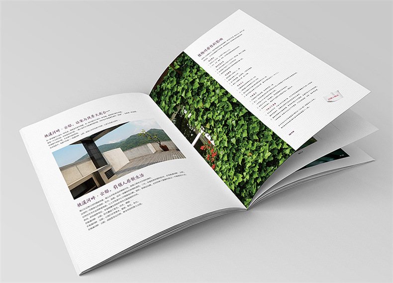 設計地產(chǎn)樓書(shū)一般多少錢(qián)1p-樓書(shū)設計價(jià)格是多少-地產(chǎn)畫(huà)冊收費標準