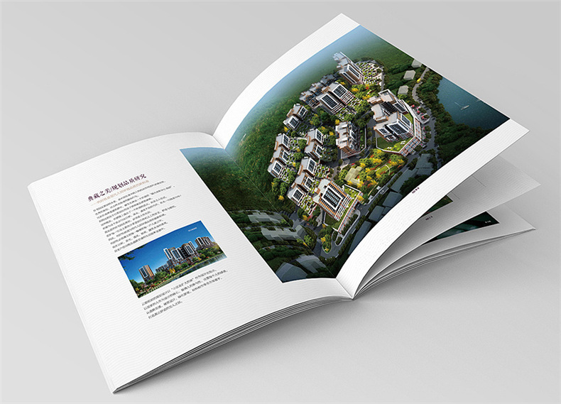 設計地產(chǎn)樓書(shū)一般多少錢(qián)1p-樓書(shū)設計價(jià)格是多少-地產(chǎn)畫(huà)冊收費標準