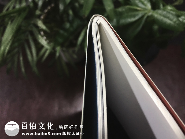 成都登特義齒-企業(yè)期刊畫(huà)冊設計-雜志制作