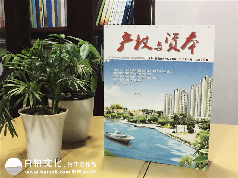 《產(chǎn)權與資本》西南聯(lián)交所企業(yè)內刊雜志制作