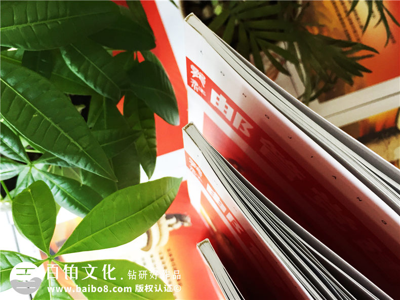 黑龍江郵管局黨建活動(dòng)期刊設計-黨建紀念冊制作