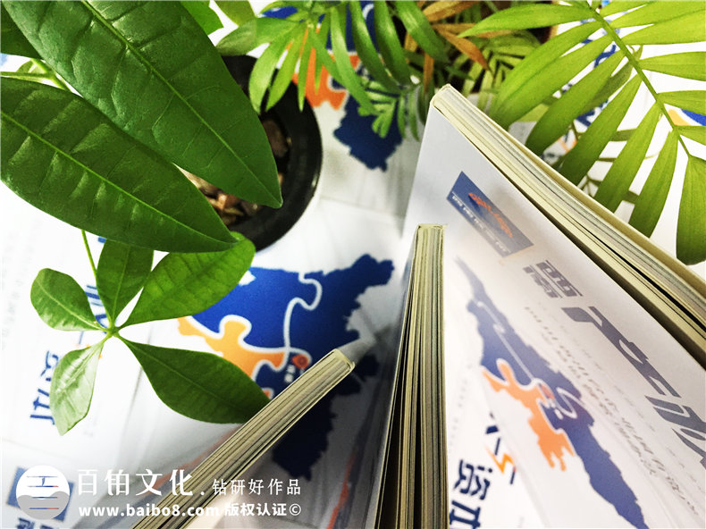 創(chuàng  )意雜志版式設計,經(jīng)典公司雜志內頁(yè),目錄排版