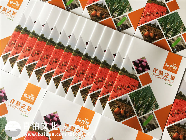 【500強企業(yè)】怎樣設計公司內部期刊雜志,期刊欄目?jì)热菰趺匆巹?/ alt=