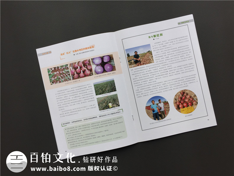 【500強企業(yè)】怎樣設計公司內部期刊雜志,期刊欄目?jì)热菰趺匆巹?/ alt=