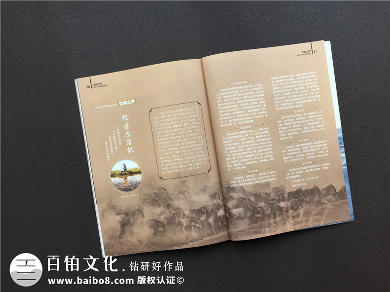 【專(zhuān)業(yè)月刊設計排版公司】手把手教你如何做好企業(yè)內刊印刷設計