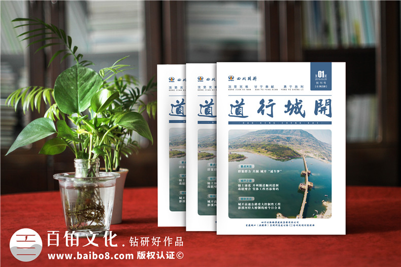 企業(yè)重大標書(shū)制作-投標項目正規標書(shū)設計經(jīng)驗
