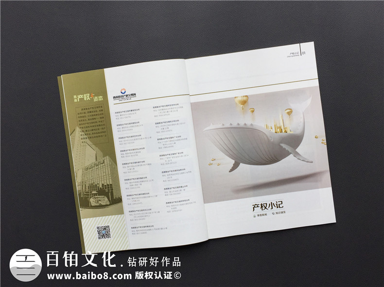 成都書(shū)刊雜志設計-做雜志的公司在企業(yè)年刊設計方面需具備什么實(shí)力