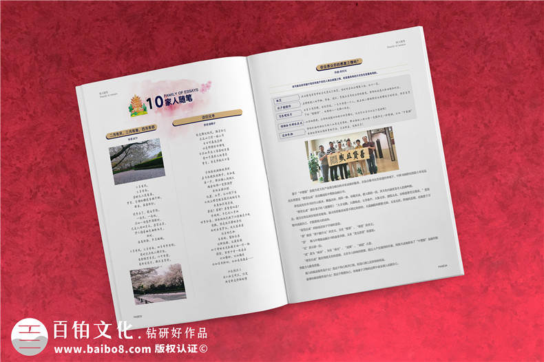 金融服務(wù)協(xié)會(huì )及知識產(chǎn)權雜志排版-企業(yè)文件內刊回憶錄