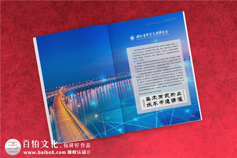 金融服務(wù)協(xié)會(huì )及知識產(chǎn)權雜志排版-企業(yè)文件內刊回憶錄