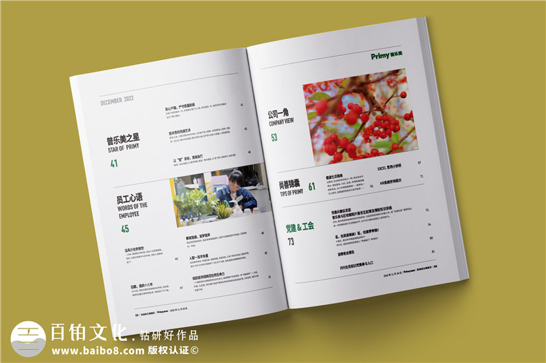 企業(yè)年報設計-公司年度報告畫(huà)冊排版
