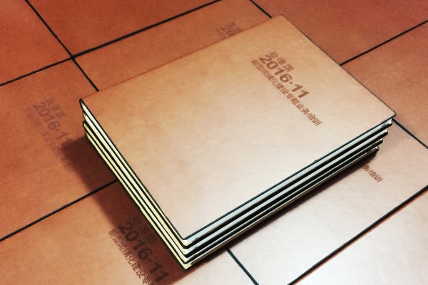 政府人員出國考察學(xué)習培訓紀念冊-機關(guān)單位領(lǐng)導視察影集相冊