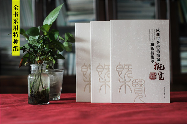 政府職能部門(mén)檔案館宣傳畫(huà)冊-事業(yè)單位工作成果出書(shū)