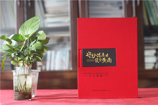 疾控中心重大傳染病防控工作紀實(shí)畫(huà)冊-衛生健康委員會(huì )成果宣傳畫(huà)冊