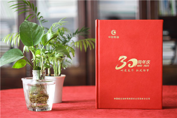 公司成立三十周年紀念畫(huà)冊-單位30周年圖冊?xún)热菰O計