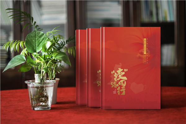 疫情防控志愿者照片制作抗疫圖畫(huà)冊-街道疫情防控紀念冊