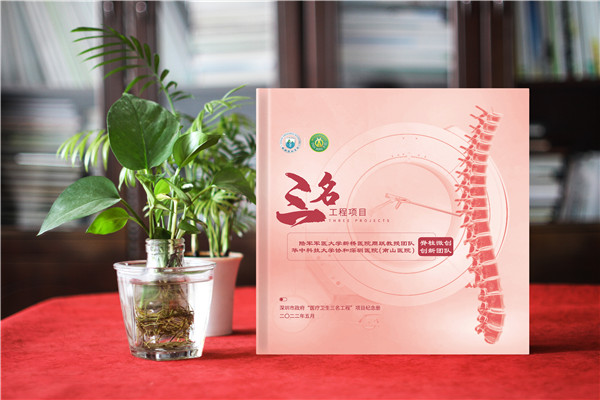 醫療三名工程項目紀念冊-衛生系統三名工程畫(huà)冊