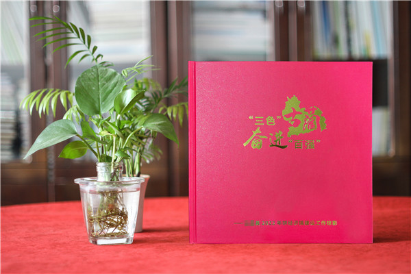 政府周年紀念冊-政府單位年度經(jīng)濟建設工作掠影總結畫(huà)冊