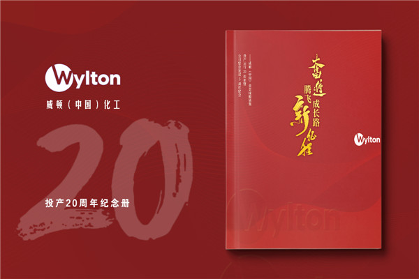 化工企業(yè)20周年紀念冊設計-公司整合發(fā)展大事記畫(huà)冊