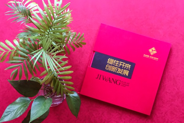 學(xué)校成立三十年慶典留念相冊-30周年校慶紀念冊設計