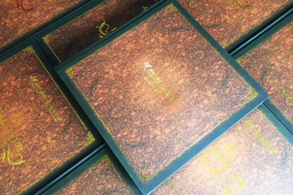 企業(yè)年會(huì )紀念冊-公司表彰大會(huì )相冊-百萬(wàn)精英珍藏