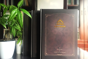 房地產(chǎn)公司宣傳冊,怎樣才能做得高檔大氣、震撼