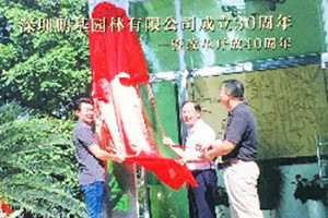 集團輝煌成就30周年紀念畫(huà)冊設計-企業(yè)周年員工相冊包含哪些模塊?