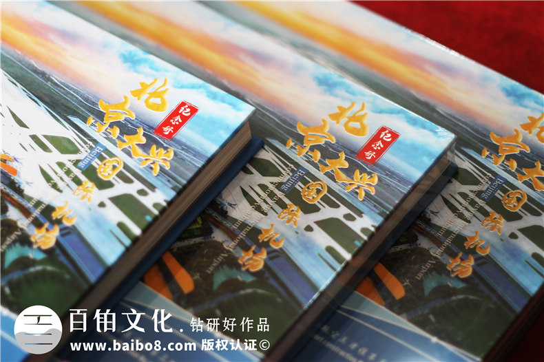 項目建設收官驗收回顧紀念相冊-項目竣工匯報畫(huà)冊