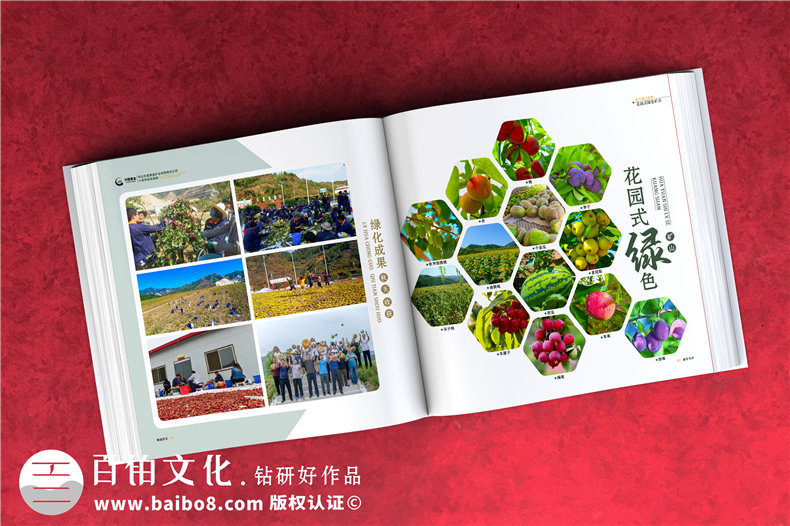 集團成立周年宣傳冊-公司創(chuàng  )建10周年活動(dòng)制作相冊影集