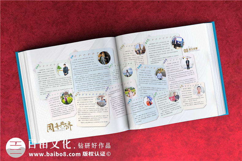 公司周年紀念畫(huà)冊排版-集團成立十五周年圖畫(huà)冊設計