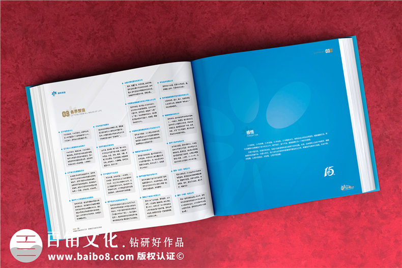 公司周年紀念畫(huà)冊排版-集團成立十五周年圖畫(huà)冊設計