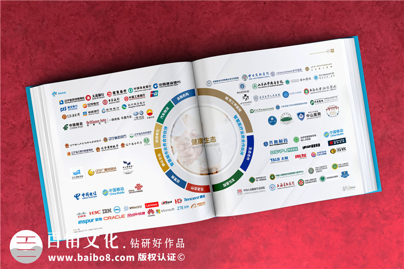 公司周年紀念畫(huà)冊排版-集團成立十五周年圖畫(huà)冊設計