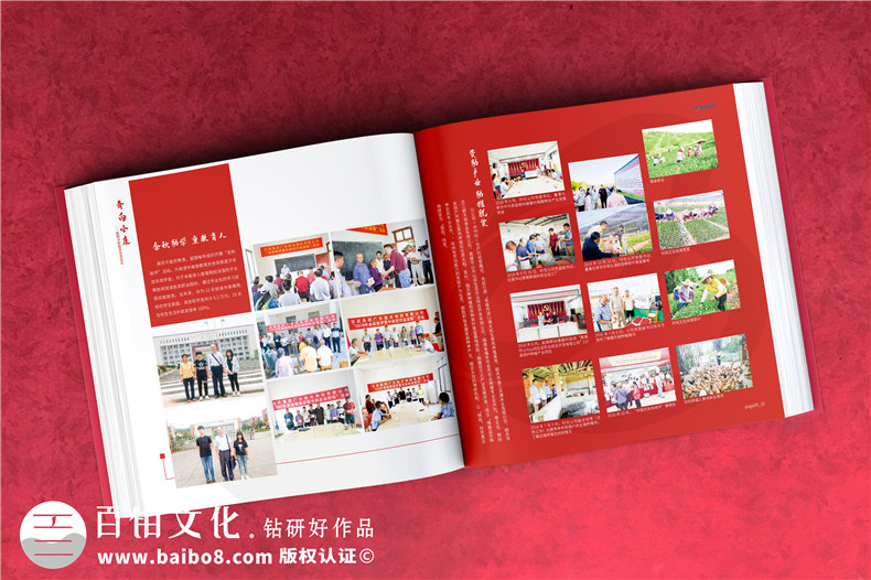 定點(diǎn)幫扶決勝脫貧攻堅紀實(shí)勝利相冊設計-扶貧畫(huà)冊制作