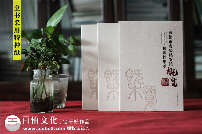 政府職能部門(mén)檔案館宣傳畫(huà)冊-事業(yè)單位工作成果出書(shū)