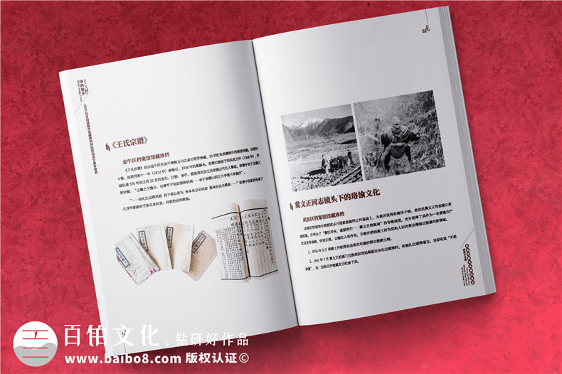 政府職能部門(mén)檔案館宣傳畫(huà)冊-事業(yè)單位工作成果出書(shū)