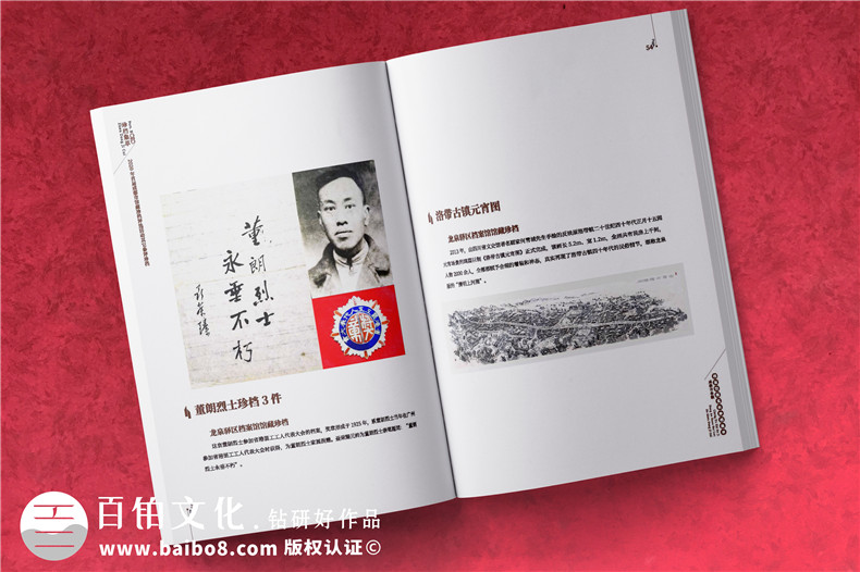 政府職能部門(mén)檔案館宣傳畫(huà)冊-事業(yè)單位工作成果出書(shū)