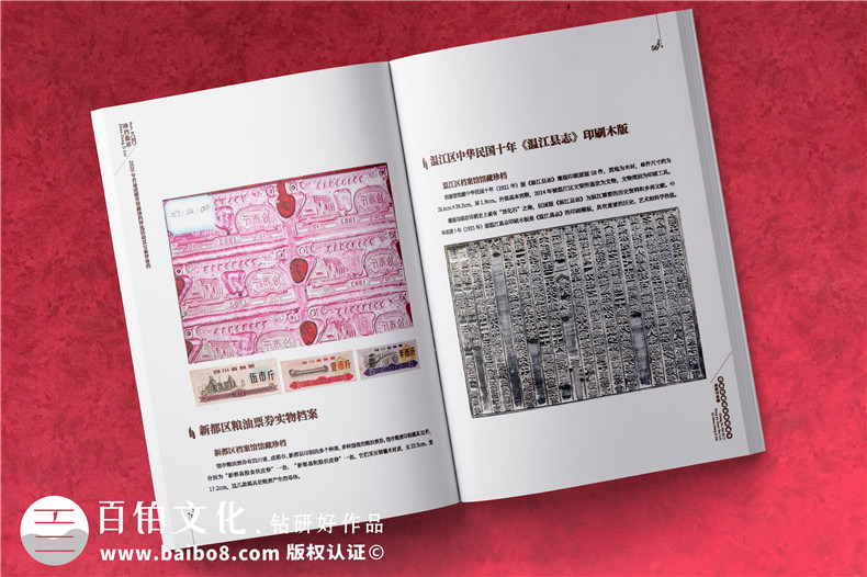 政府職能部門(mén)檔案館宣傳畫(huà)冊-事業(yè)單位工作成果出書(shū)