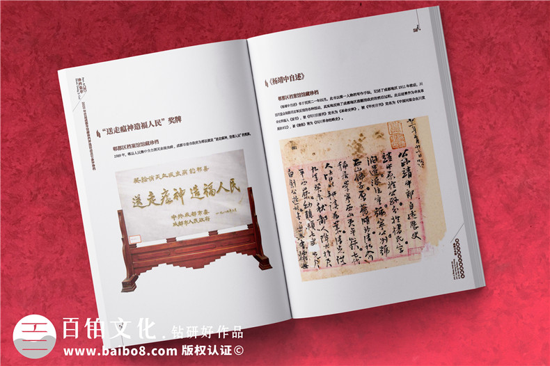 政府職能部門(mén)檔案館宣傳畫(huà)冊-事業(yè)單位工作成果出書(shū)