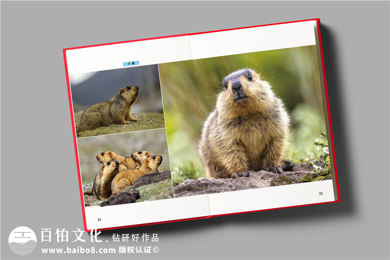 疾控中心重大傳染病防控工作紀實(shí)畫(huà)冊-衛生健康委員會(huì )成果宣傳畫(huà)冊