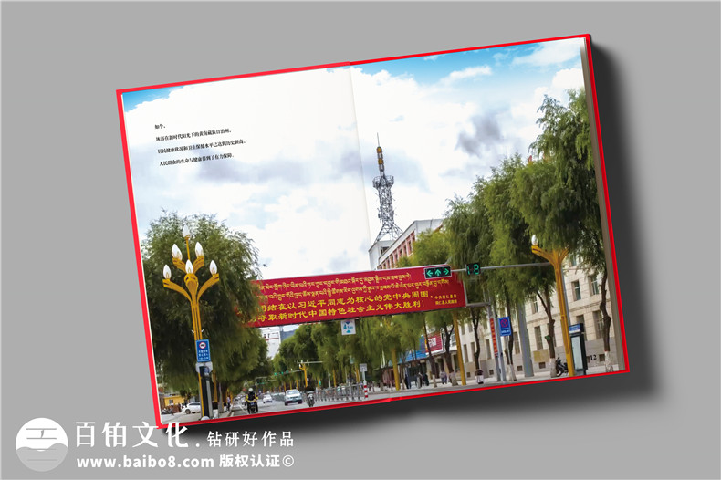 疾控中心重大傳染病防控工作紀實(shí)畫(huà)冊-衛生健康委員會(huì )成果宣傳畫(huà)冊