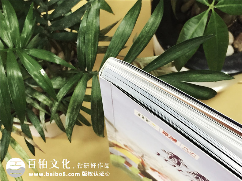 青少年網(wǎng)球大師賽紀念畫(huà)冊-團體活動(dòng)紀念冊定制