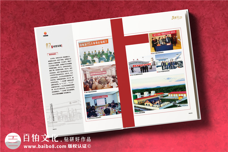 公司成立三十周年紀念畫(huà)冊-單位30周年圖冊?xún)热菰O計