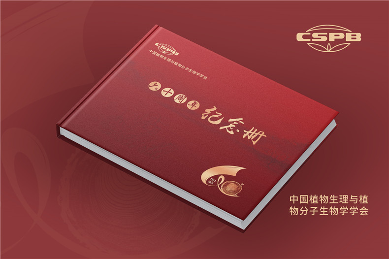 學(xué)會(huì )成立60周年紀念冊-行業(yè)協(xié)會(huì )周年畫(huà)冊設計