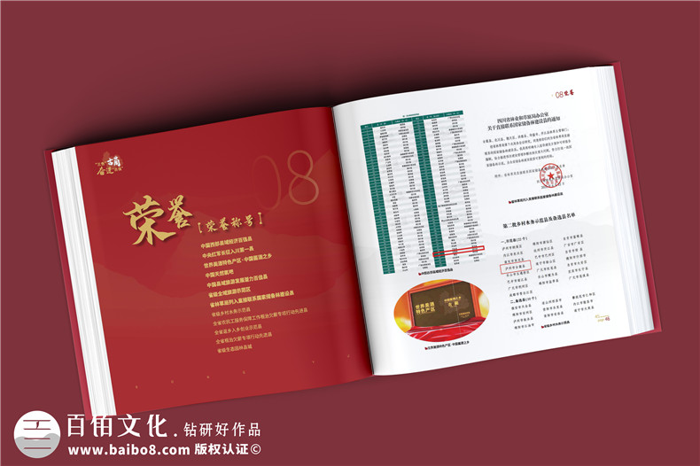 政府周年紀念冊-政府單位年度經(jīng)濟建設工作掠影總結畫(huà)冊