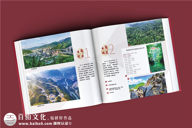 政府周年紀念冊-政府單位年度經(jīng)濟建設工作掠影總結畫(huà)冊