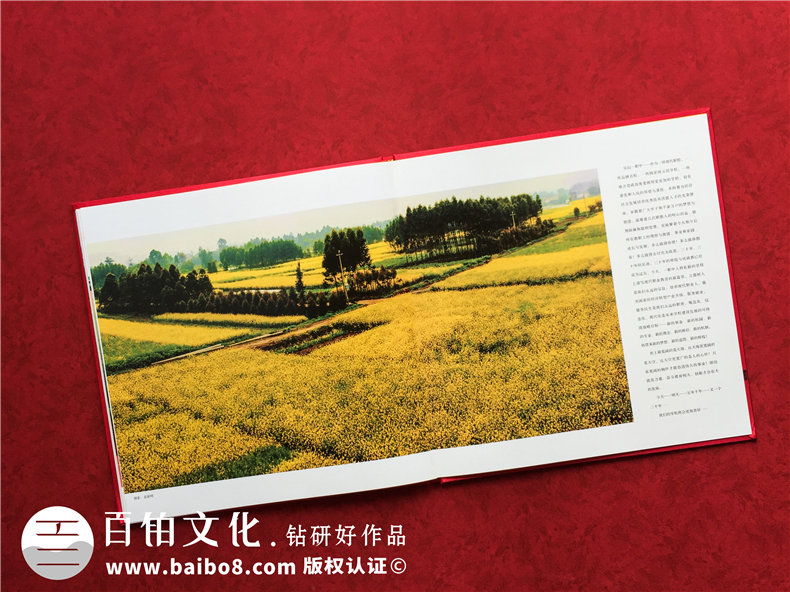 周年校慶紀念畫(huà)冊制作 設計學(xué)校校慶畫(huà)冊記錄那些年母校的崢嶸歲月！