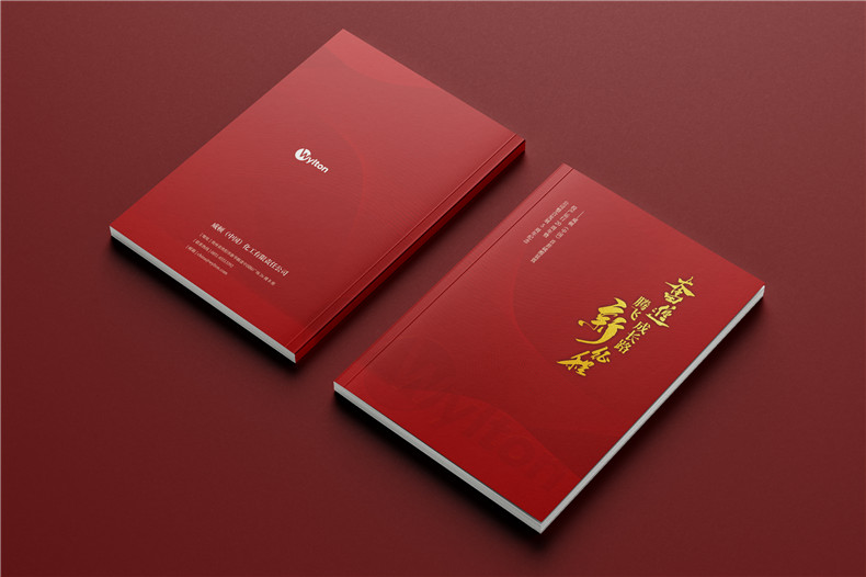 化工企業(yè)20周年紀念冊設計-公司整合發(fā)展大事記畫(huà)冊