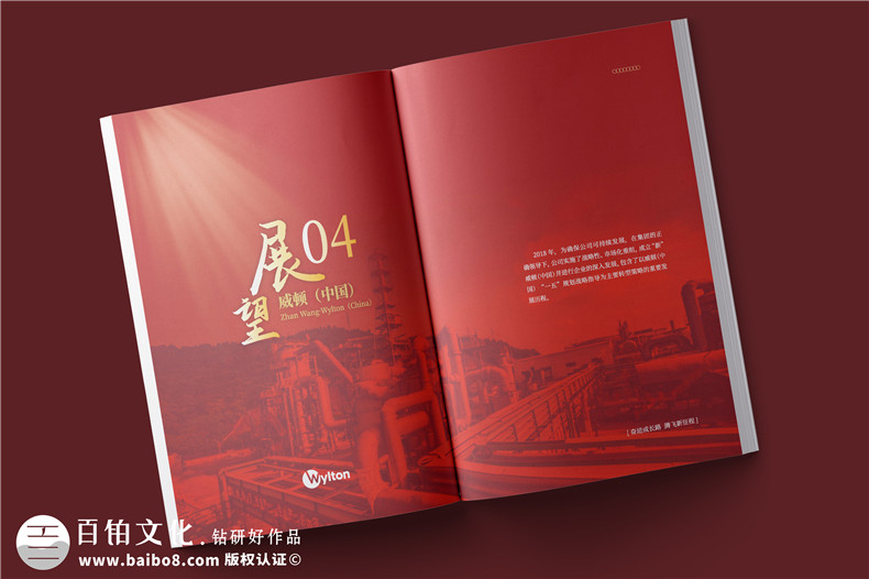 化工企業(yè)20周年紀念冊設計-公司整合發(fā)展大事記畫(huà)冊