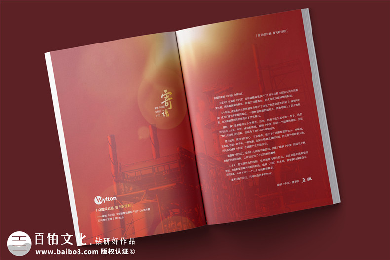 化工企業(yè)20周年紀念冊設計-公司整合發(fā)展大事記畫(huà)冊